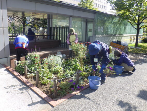 花壇のお手入れをする花くらぶ