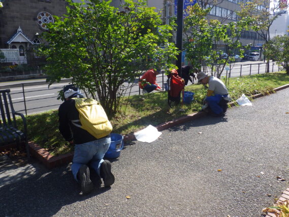 芝生の除草をする除草ボランティア
