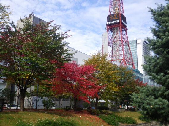 「園内の紅葉」の画像