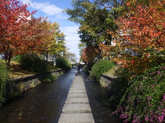 南4条創成川の10月17日の様子