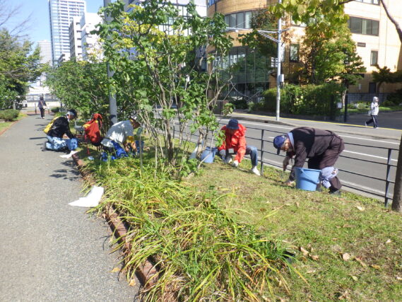 芝生の除草をする除草ボランティア