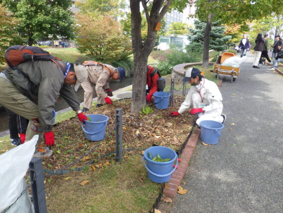 スズランの刈込み作業をするお助け隊