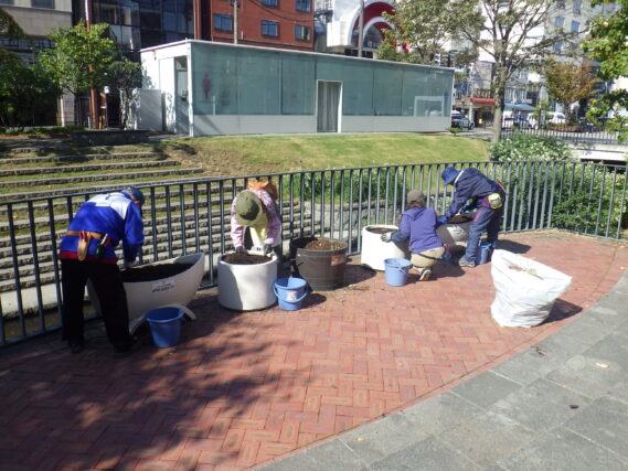 狸二条広場コンテナ花壇の花抜きと片付けをする花くらぶ