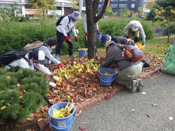 スズランの刈込み作業をするお助け隊
