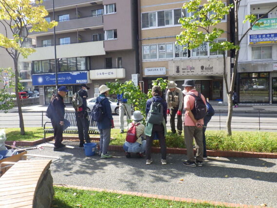 笠先生にライラックの秋剪定の指導を受ける植物ボランティア