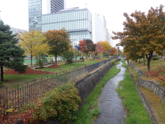 「紅葉が進む園内」の画像