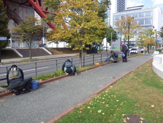 ヘメロカリスの刈込み作業をする植物ボランティア