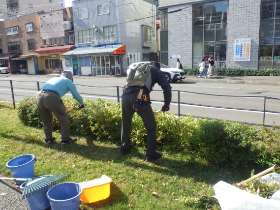 シモツケの剪定作業をする植物ボランティア