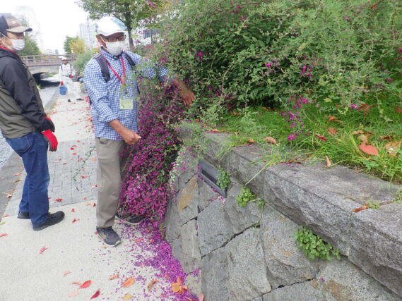 公園内の電気設備の点灯チャックをするお助け隊