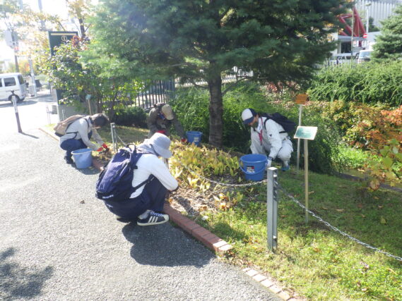 スズランの刈込み作業をするお助け隊