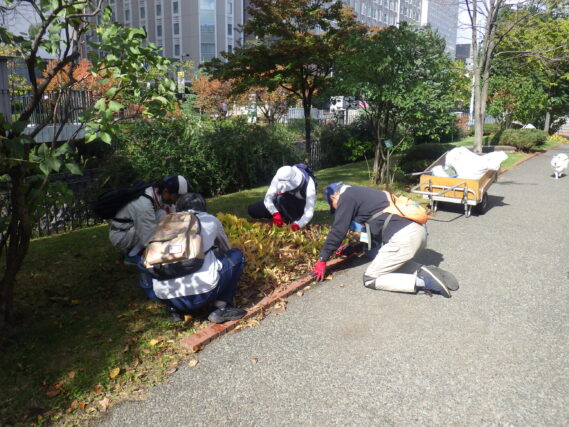 スズランの刈込み作業をするお助け隊