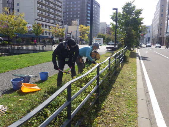 シモツケの剪定作業をする植物ボランティア