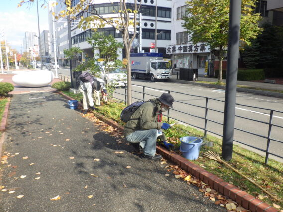 ヘメロカリスの刈込み作業を行う植物ボランティア