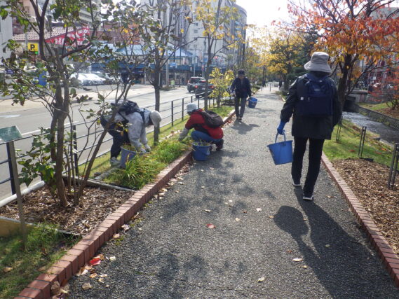 ヘメロカリスの刈込み作業を行う植物ボランティア