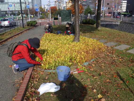 スズランの刈り取り作業をするお助け隊