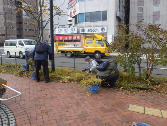 活動最終日の11月5日にヘメロカリスの刈込み作業を行う植物ボランティア