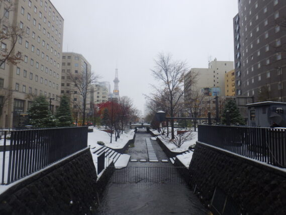 11月7日の雪の積もった南4条の様子