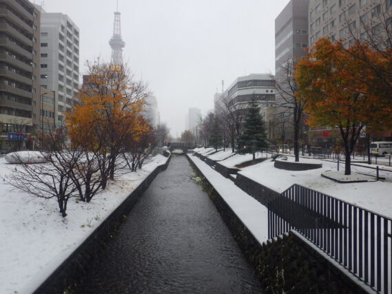 11月7日の雪の積もった南2条の様子