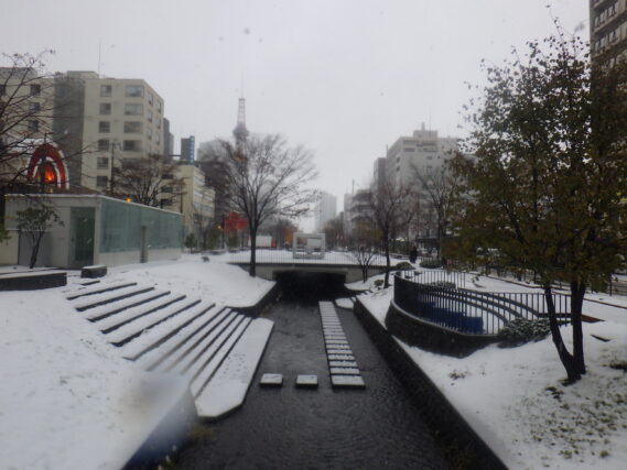 11月7日の雪の積もった南3条の様子