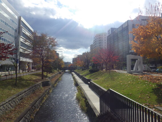 11月6日の南1条の様子