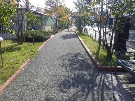 落ち葉清掃が済み綺麗になった北2条の園路