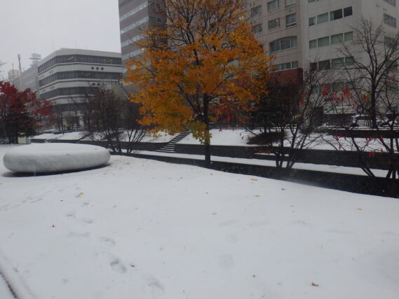 11月7日の雪の積もった南2条の様子
