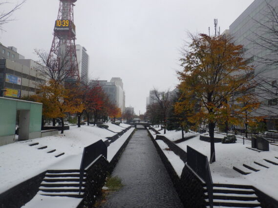 「園内雪景色」の画像