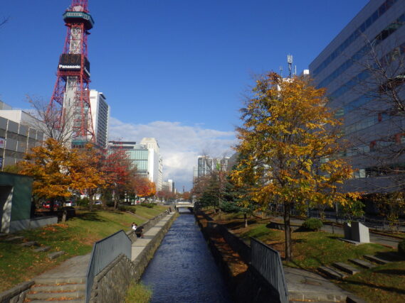 11月6日の南1条の様子