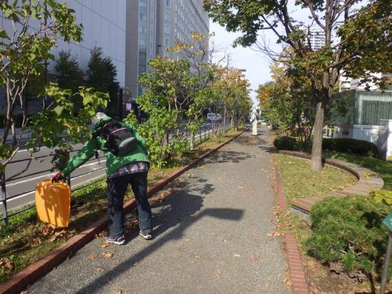 園路の落ち葉清掃をするお助け隊