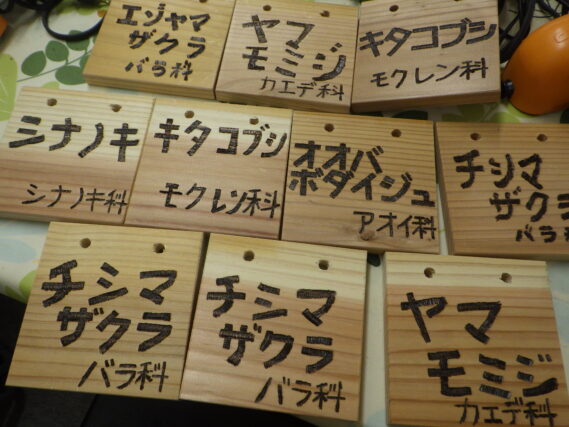 出来上がった樹名板