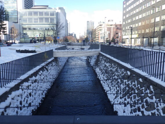 札電協青年部によるイルミネーションの設置作業の様子