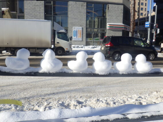 南3条の策の上に並んだ雪ひよこたち
