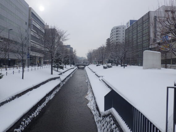 2025年1月6日の南1条の様子