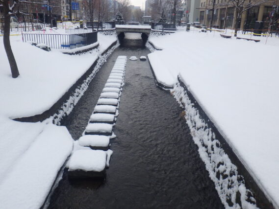 2025年1月6日の南3条創成川の様子