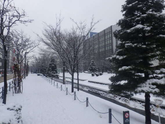「今年もよろしくお願いいたします」の画像