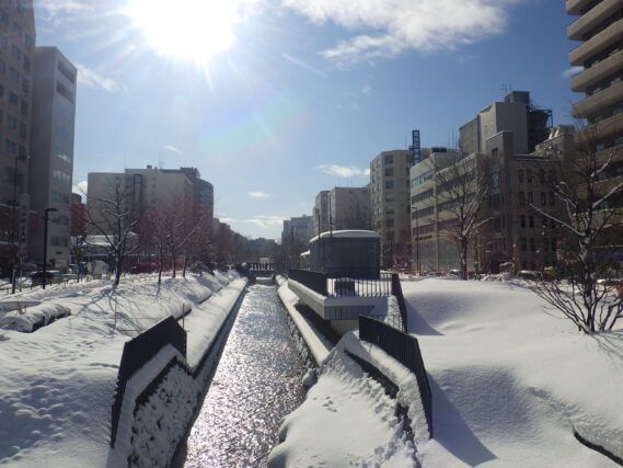 陽の射しこむ南2条の様子