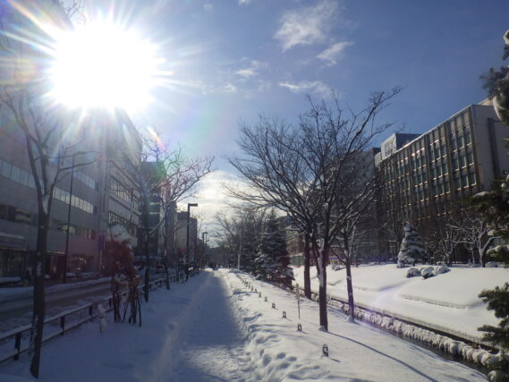 「明るい陽射しがさしこむ2月の公園の様子」の画像