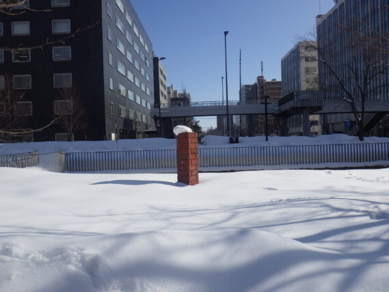 2024年2月28日の大通ブロックのたけくらべの積雪の様子