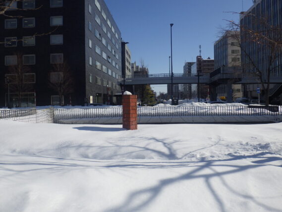 「2月も終わりに近づく公園内」の画像