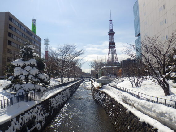 「春が待ち遠しい公園内」の画像