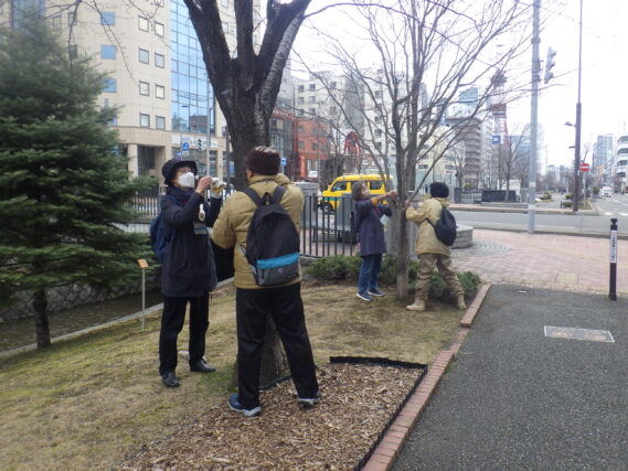 樹名板取付を行う植物ボランティア