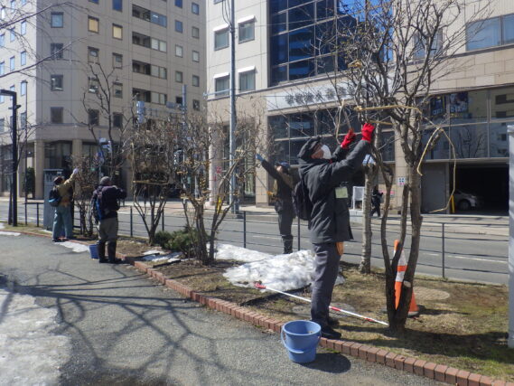 「新年度を迎え植物ボランティア活動開始！」の画像