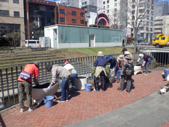 狸二条広場のコンテナにビオラを植え込む花くらぶ