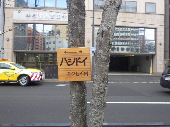 「今週の公園ボランティア」の画像