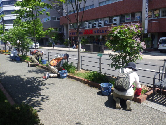 花壇の除草をするお助け隊