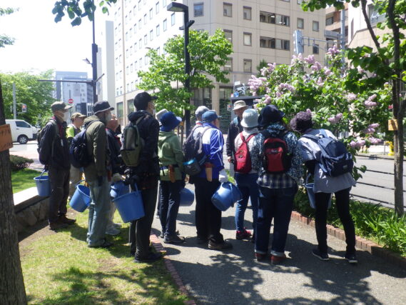 「５月後半の公園ボランティア」の画像