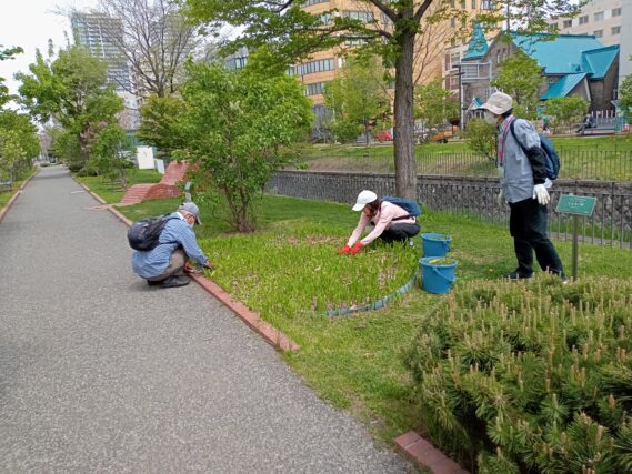 スズラン花壇の除草をするお助け隊
