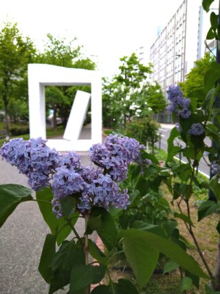 ライラック投稿写真「ライラックと安田侃アート「生棒」のコラボ」