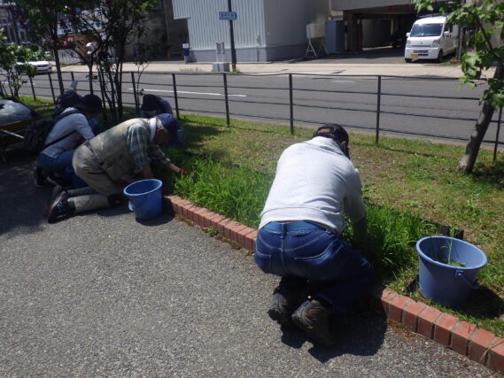 花壇の除草をするお助け隊