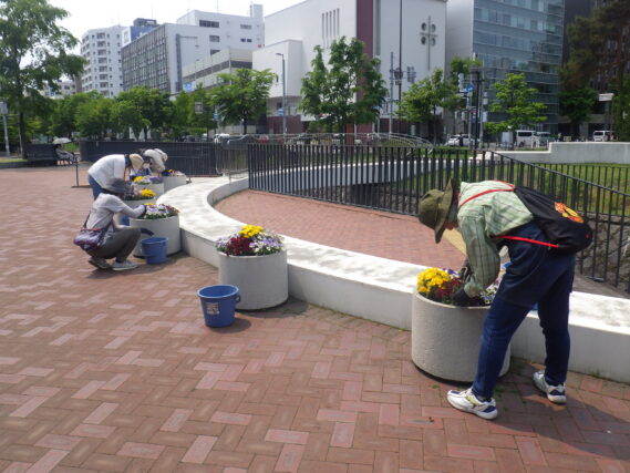 まんなか広場のコンテナ花壇のお手入れをする花くらぶ